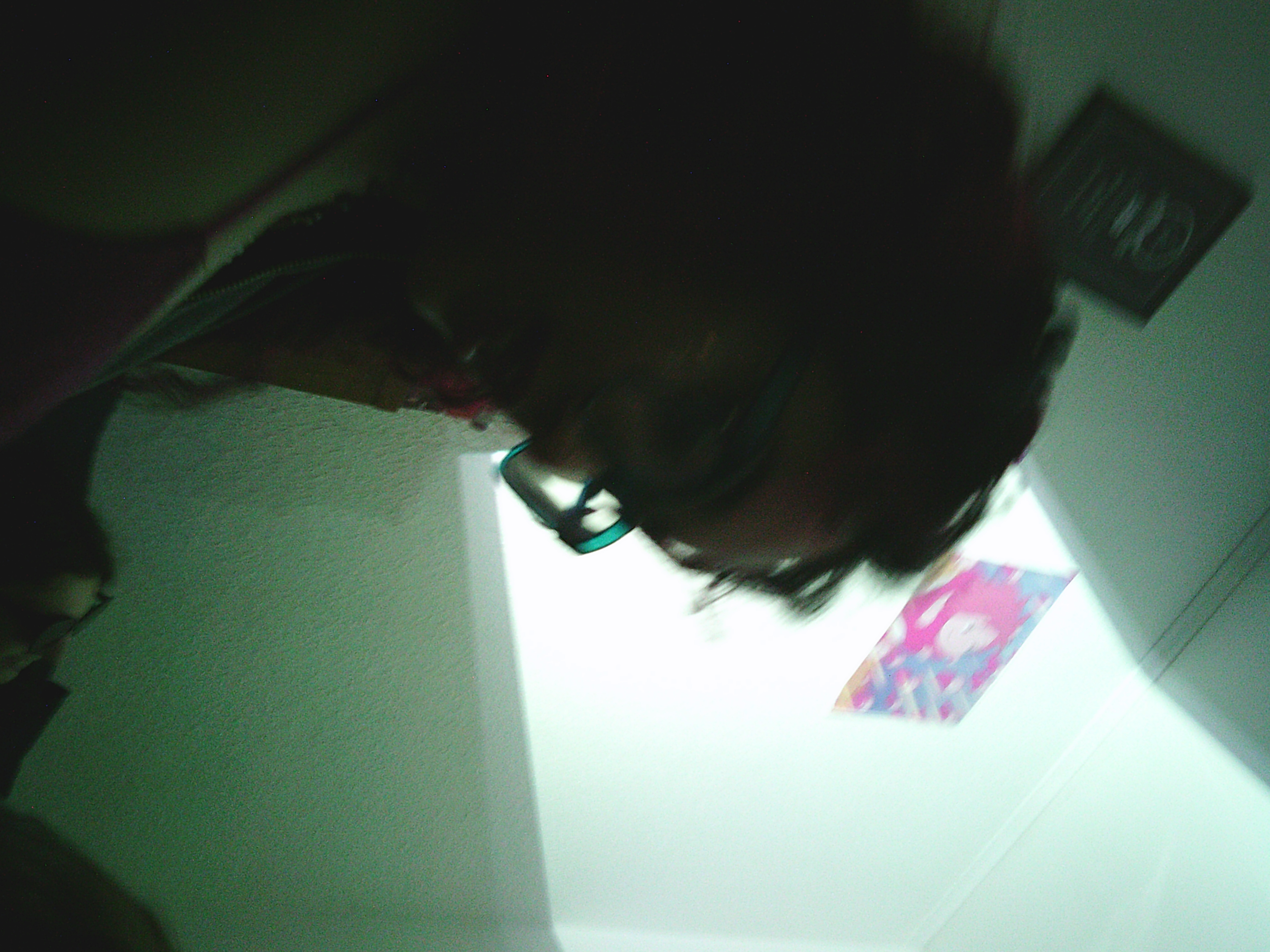 zinny's bday party, projection on wall/ceiling w bros